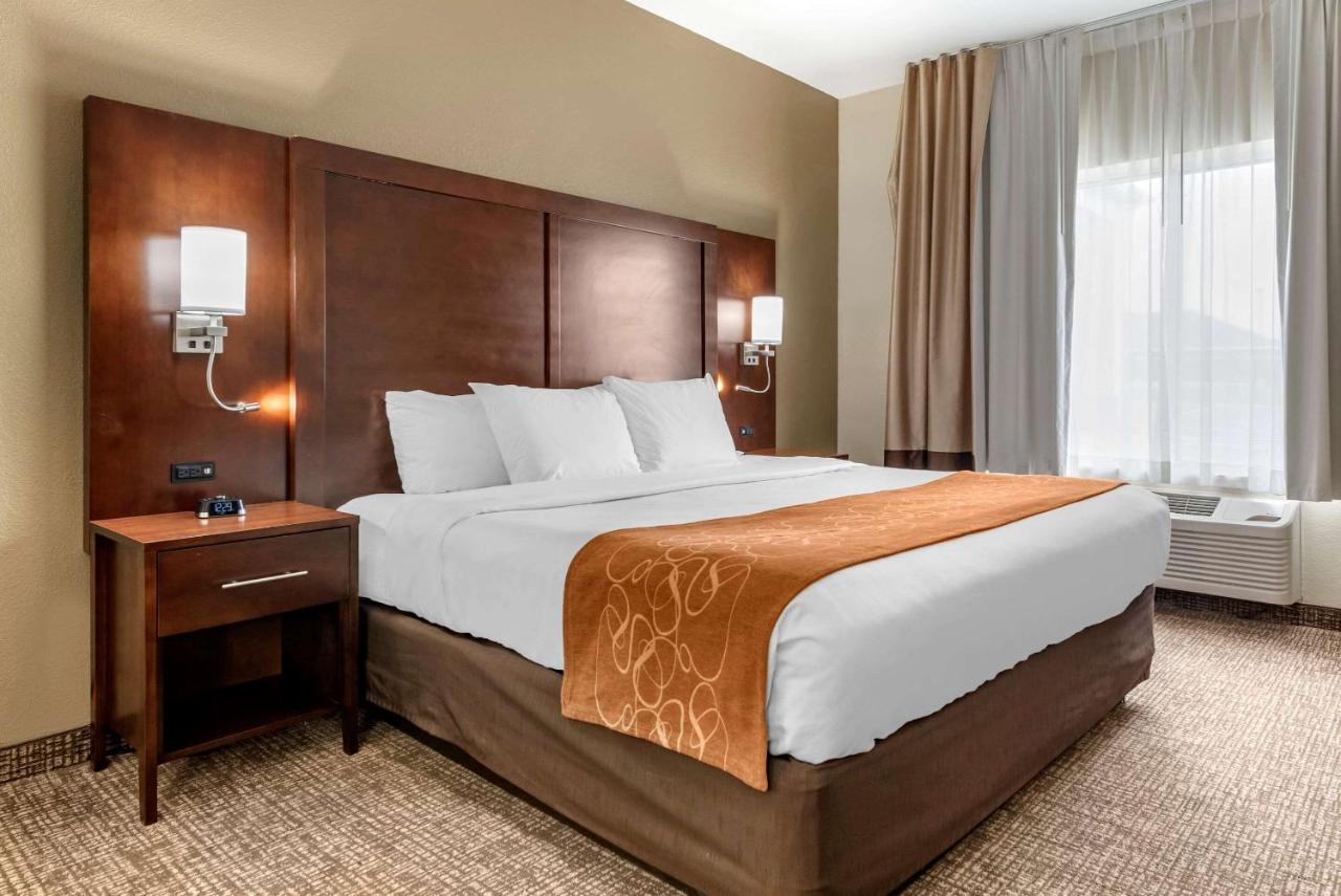 Comfort Suites Auburn Near I-69 Eksteriør billede