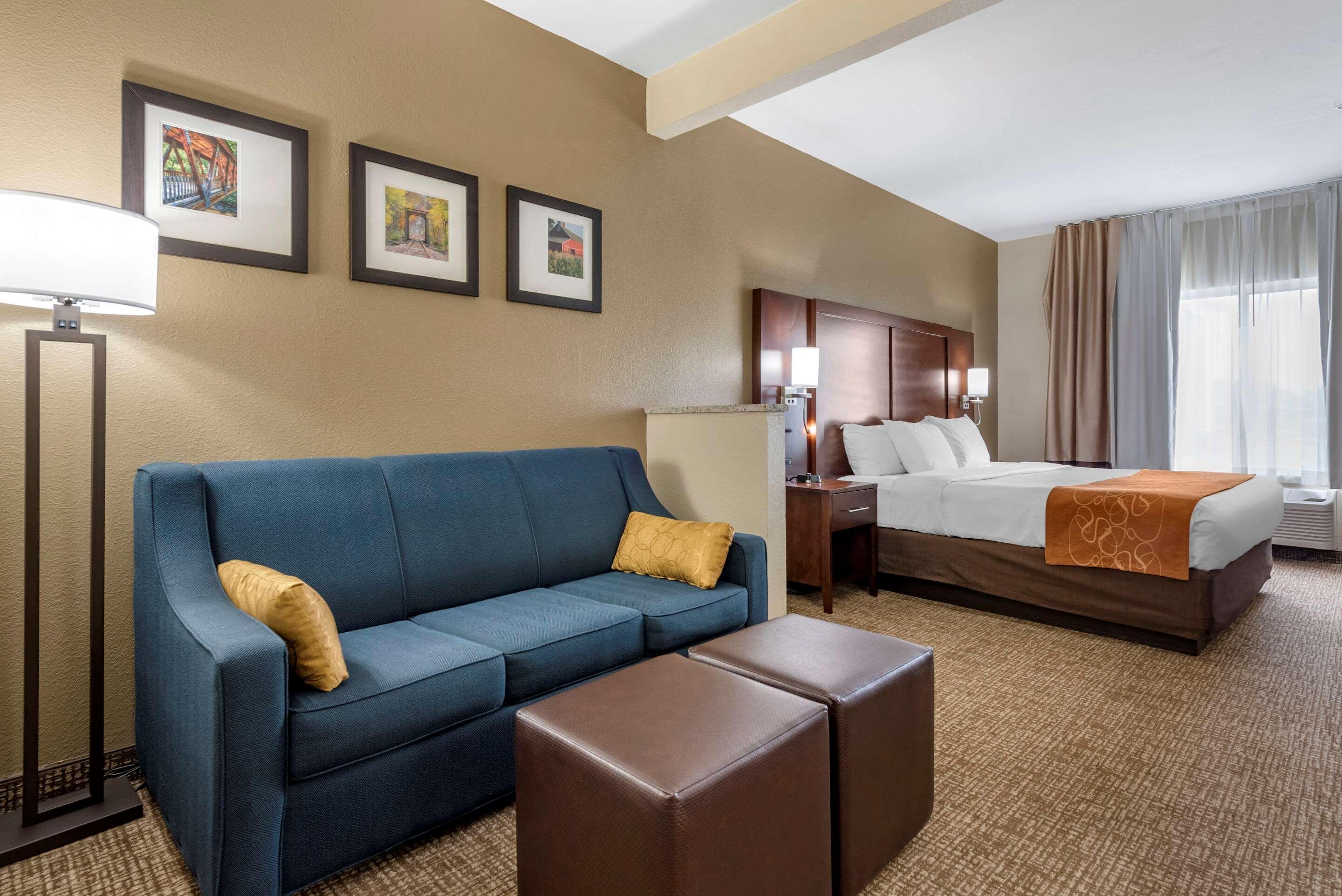 Comfort Suites Auburn Near I-69 Eksteriør billede
