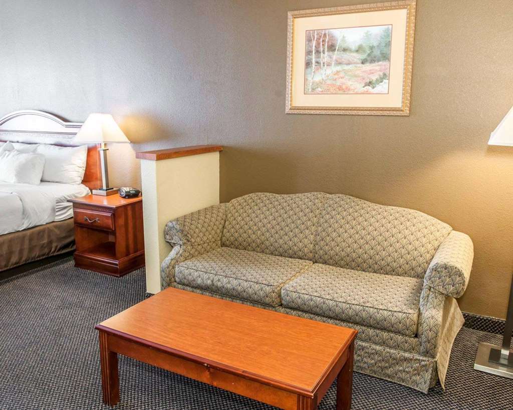 Comfort Suites Auburn Near I-69 Værelse billede